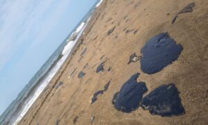 Contienen derrame de hidrocarburo que afectó playas del Golfo de México