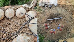 Avances en neurotecnología y cannabis medicinal marcan tendencias en salud global