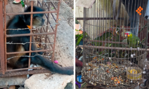 Múltiples casos judiciales y de seguridad marcan la agenda en México y Perú