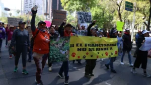 Activistas denuncian maltrato animal e impunidad en CDMX y anuncian marcha por Refugio Franciscano