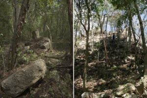 Localizan Minanbé, asentamiento maya oculto en la selva de Campeche